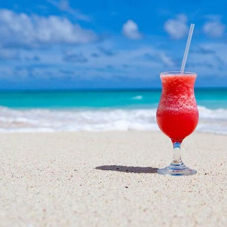 Le Palmier Bleu, Cocon Tropical, Plage & Piscine Anse Marcel Bagian luar foto